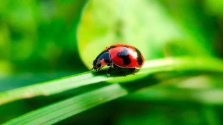 Thumbnail of post image 117