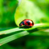 Thumbnail of related posts 127